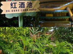 -清泉湾生态旅游度假区