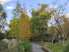 -昆山城市生态森林公园