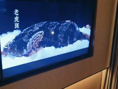 -名岛家宴(鸿翔路店)