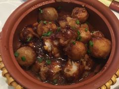 芋艿煲-阿英煲(凉城路店)