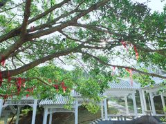 -漳州滨海火山岛自然生态风景区