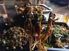 -兄弟·南瓜田鸡