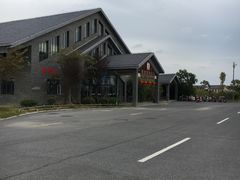 -盐城丹顶鹤湿地生态旅游区