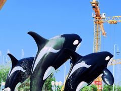 -上海海昌海洋公园