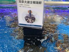 -盒马X会员店(上海森兰商都店)
