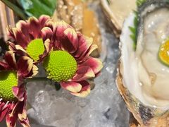 -鸟鹏烧鸟居酒屋(珠江新城店)
