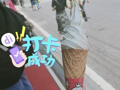 -蜜雪冰城·冰淇淋与茶(长郡中学店)