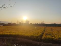 -林间山庄