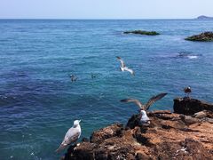 -海驴岛(荣成市)