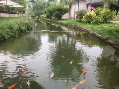 -鲜鱼口老字号美食街