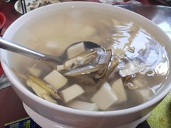 苦笋蛏汤-阿胖鱼店