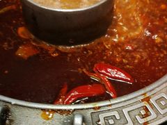-杨肥肠火锅大排档(火车站花园店)
