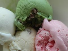 -视界美食自助餐厅·石家庄希尔顿酒店