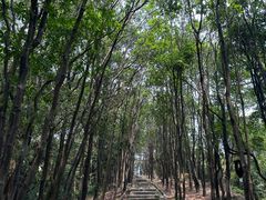 -火炉山森林公园
