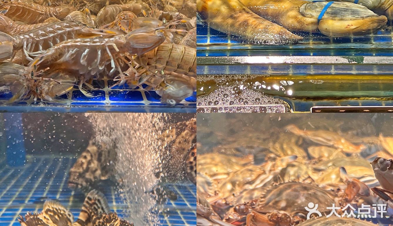 杭州海鲜🦞十四年的老店本地人首推