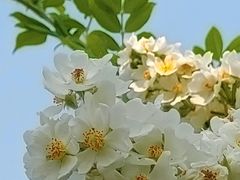 -太阳宫公园