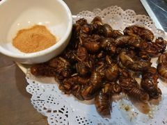 炸金蟾-海拉尔碳烤羊腿烤鸽子(吕营店)