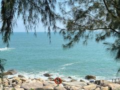 -广东惠东海龟国家级自然保护区