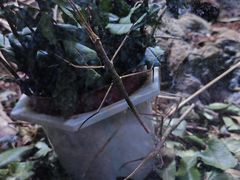 -上海海洋水族馆