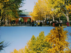 -天坛公园