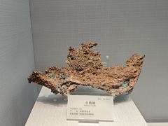 -湖南省地质博物馆