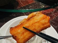 -肥猫(义乌万达店)