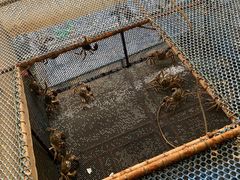 -秋月舫(阳澄湖湖滨中路店)