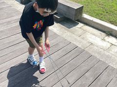 -南汇嘴观海公园