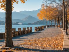 -深圳湾公园(南山区)
