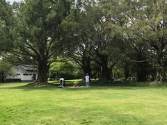 -南宁南湖公园
