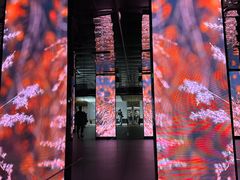 -中国湿地博物馆