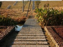 -佛手湖郊野公园