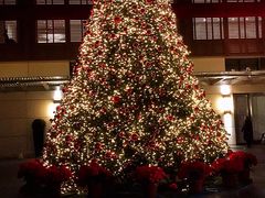 -丽思卡尔顿酒店泳池(金融街店)