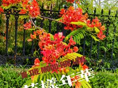 -南普陀寺