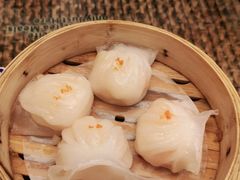 -岭南小生·粤港点心(华新旗舰店)