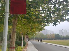 -东北大学(秦皇岛分校)