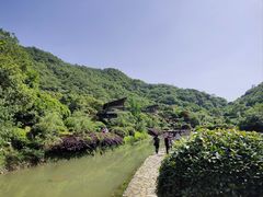 -桃花岭景区