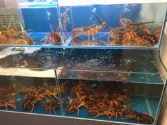 -同乐酒楼(皇后镇店)