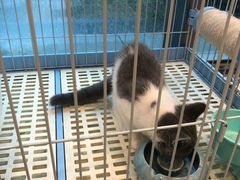-猫的天空之城概念书店(北戴河蔚蓝海岸店)