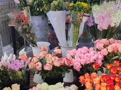 -桂林市花鸟市场