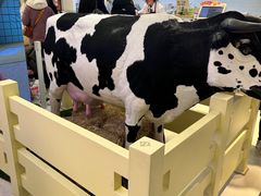 -红星前进面包牛奶公司(君太店)