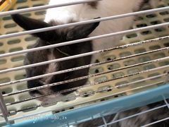 -UltraForce超源健身私教工作室(长楹天街精品店)