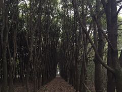 -同里国家湿地公园