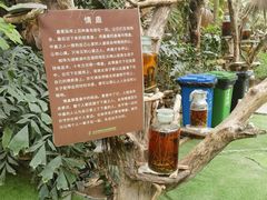 -呀路古热带植物园