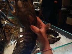 -Ministry of Crab(科伦坡店)