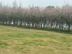 -阳澄湖半岛旅游度假区