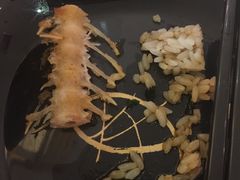 -禾绿回转寿司(苏宁广场店)