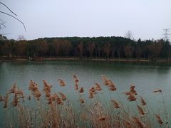 -昆山城市生态森林公园