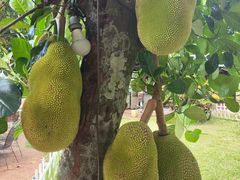 -侯臣咖啡文化村