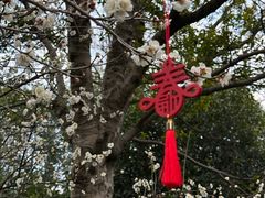 -钱王祠